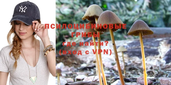 Альфа ПВП Алексеевка